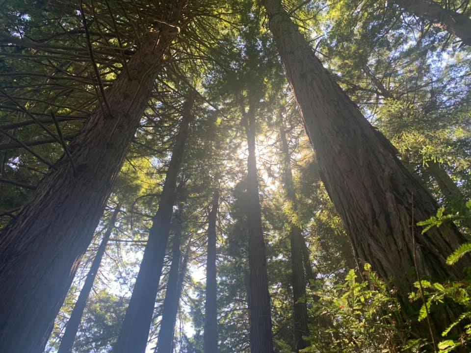 Virtual Events-5 Awesome Advantages over in person events! 1 Virtual Events-5 Awesome Advantages over in person events! 3